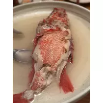 檀 れん