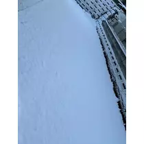 美穂