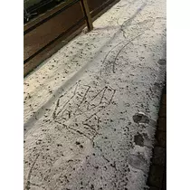 小川 真央