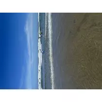 黒崎 茉凛