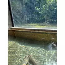 夏目 かんな