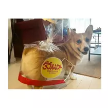 さくら
