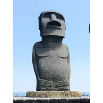 のあ