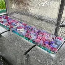 しずか