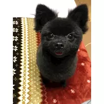 ティナ