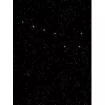 黒川 すみれ