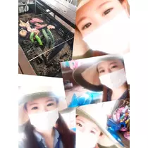 諸星 海