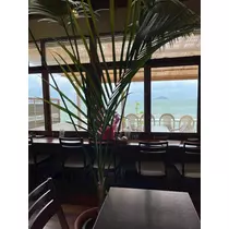 諸星 海
