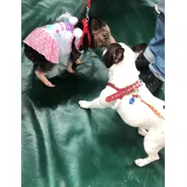 さくら