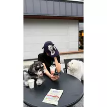 ミナミ