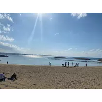 ミユ