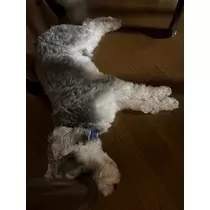 天月 あすな