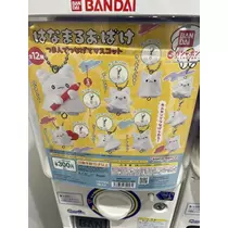 七星 夏純