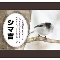 ひな