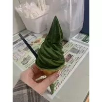 春風 ゆずな