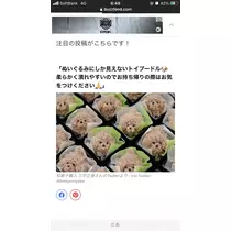 りょう