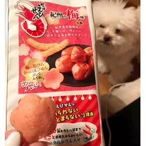 夏樹 あや