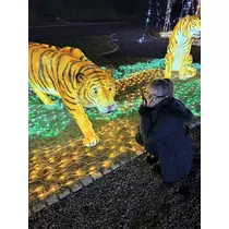 叶華