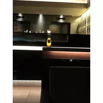 長瀬 純恋