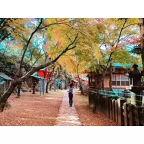ゆかり