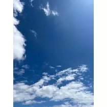 咲良 水月