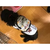 りえ