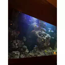 七瀬