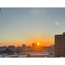 香川 ゆい