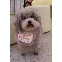 うづき ふうか