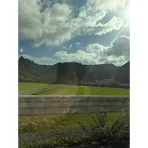 りん