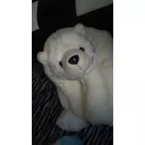 藤澤 アイ