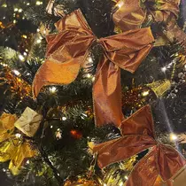 椿