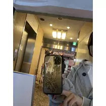 かんな