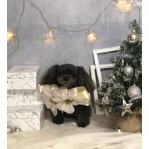 あ