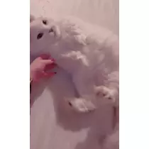 桜井 みなみ