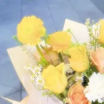 あんな