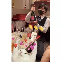 七星 夏純