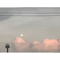 ルナ