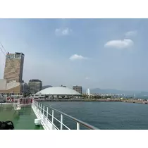 香川 ゆい