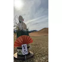 椿