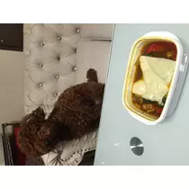 如月 凛