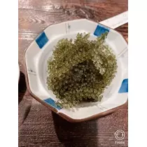 宝條 夏恋