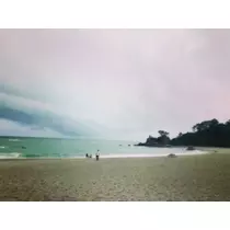 ゆかり