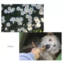 ユカ