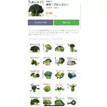 七星 夏純