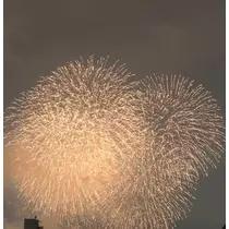 結城 かなの
