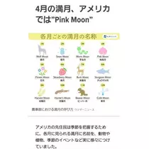 ひな