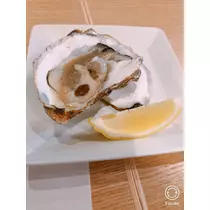 宝條 夏恋