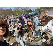ありす