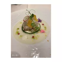 蓮